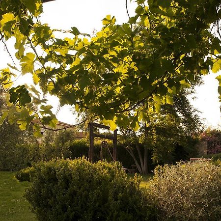 Podere Turicchio 오르베텔로 외부 사진