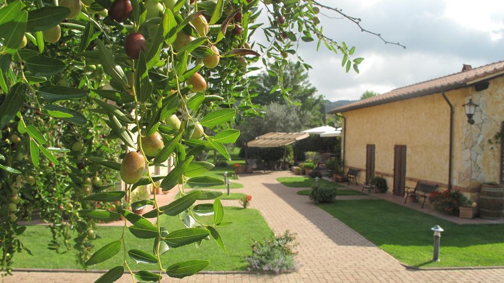 Podere Turicchio 오르베텔로 외부 사진