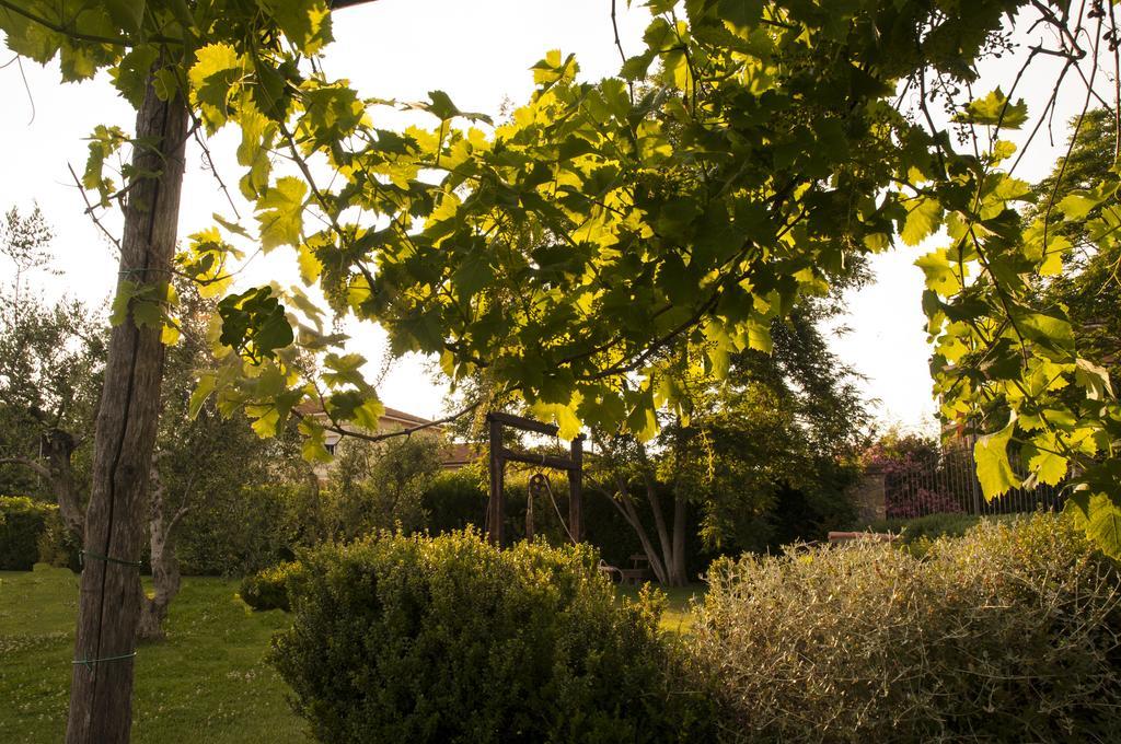 Podere Turicchio 오르베텔로 외부 사진